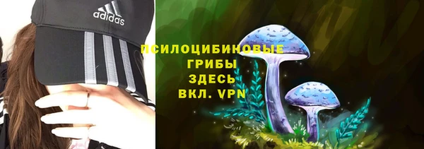mix Арсеньев